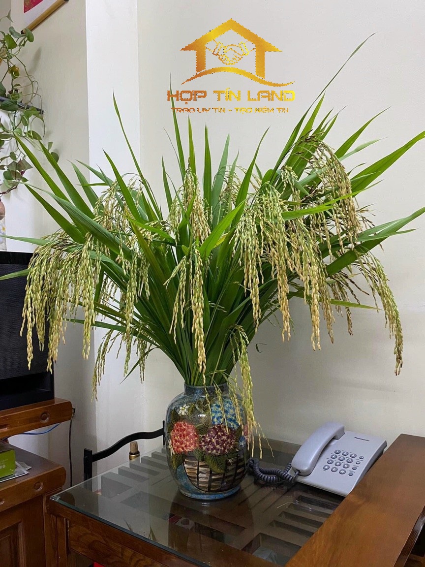  CĂN HỘ DỊCH VỤ Phú Mỹ Hưng, hưng gia, tân phong, Quận 7, Thành Phố Hồ Chí Minh - Giá thuê 10tr. Vui lòng liên hệ: hotline /Zalo/Viber - 1882