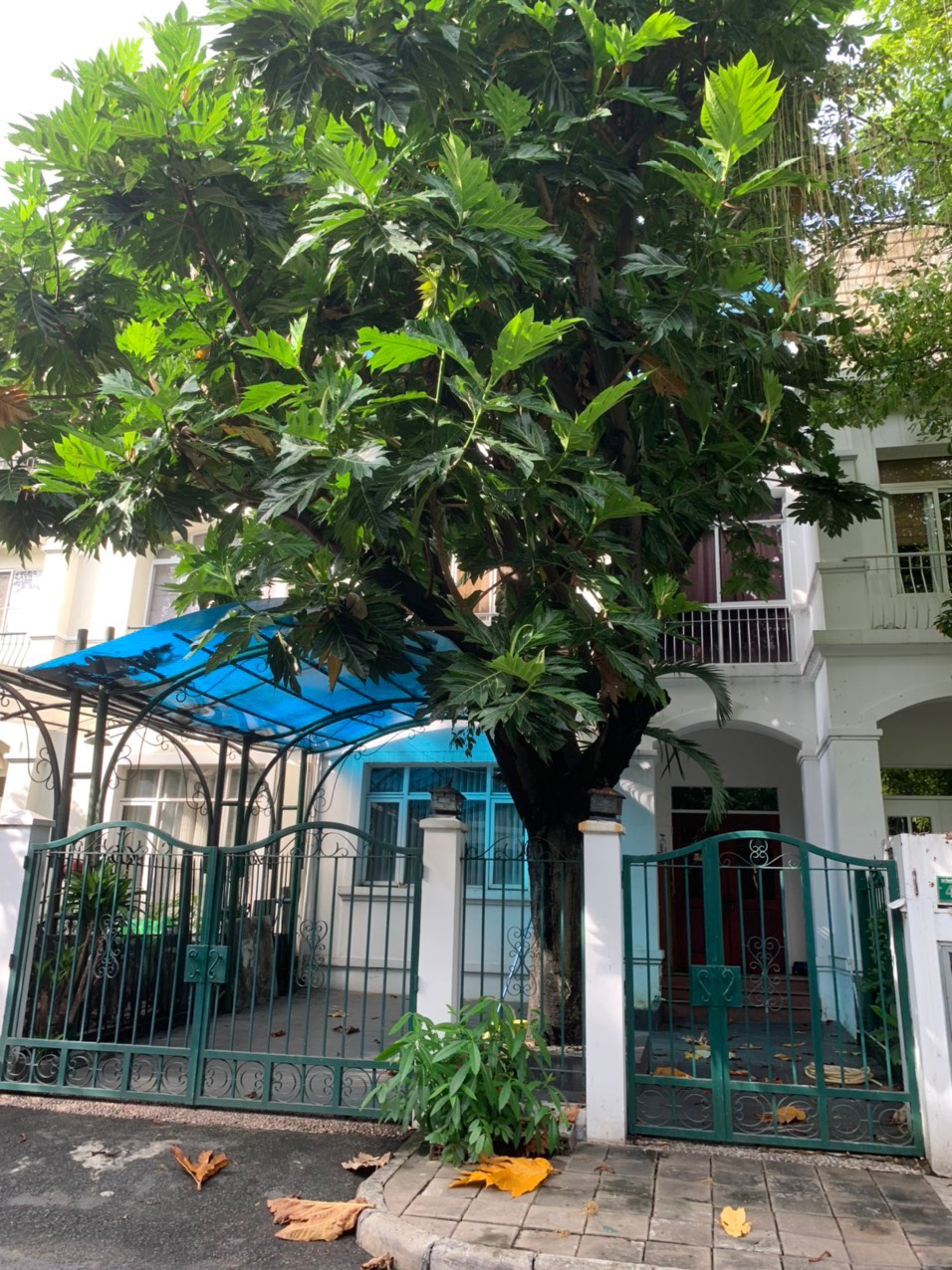 Cần bán nhà liên kế vườn nằm trong khu Compound Hưng Thái 7x18m Giá chỉ: 26 tỷ. Quý khách xem nhà liên hệ: hotline