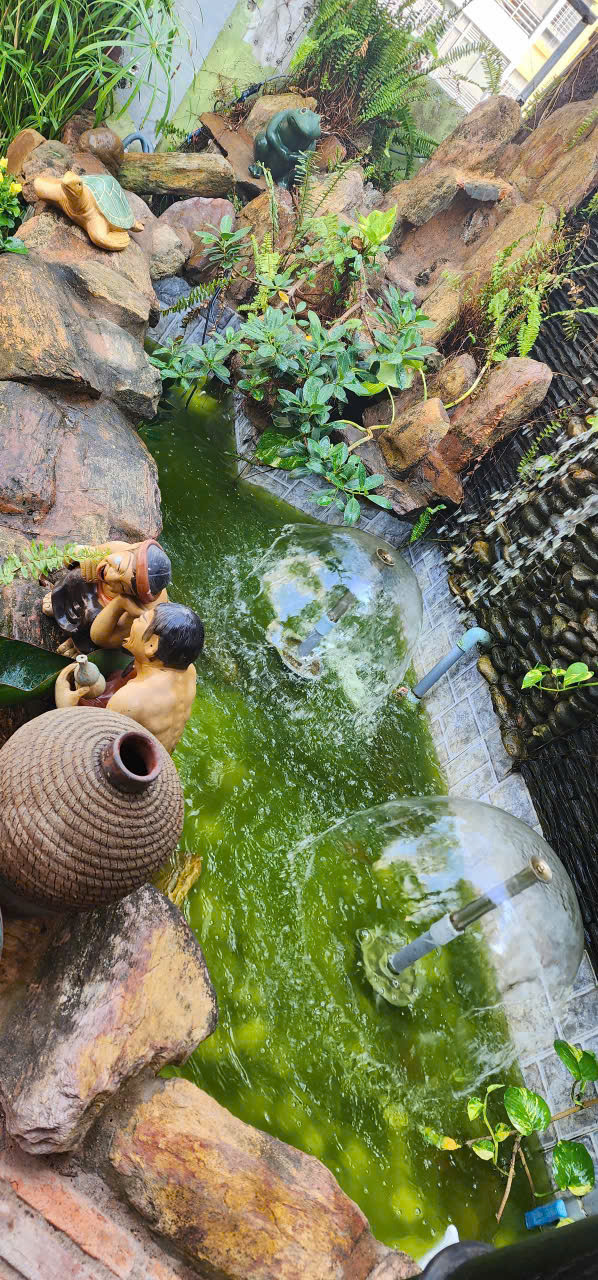 Bán Penhouse SkyGraden , phú mỹ hưng, quận 7. Diện tích: 325m , có 5 phòng ngủ,4wc,  2 sân rộng, nội thất đầy đủ. giá chỉ: 16.5 tỷ ( sổ hồng). Qúy khách xem nhà liên hê: hotline Ngọc Thư - 9505