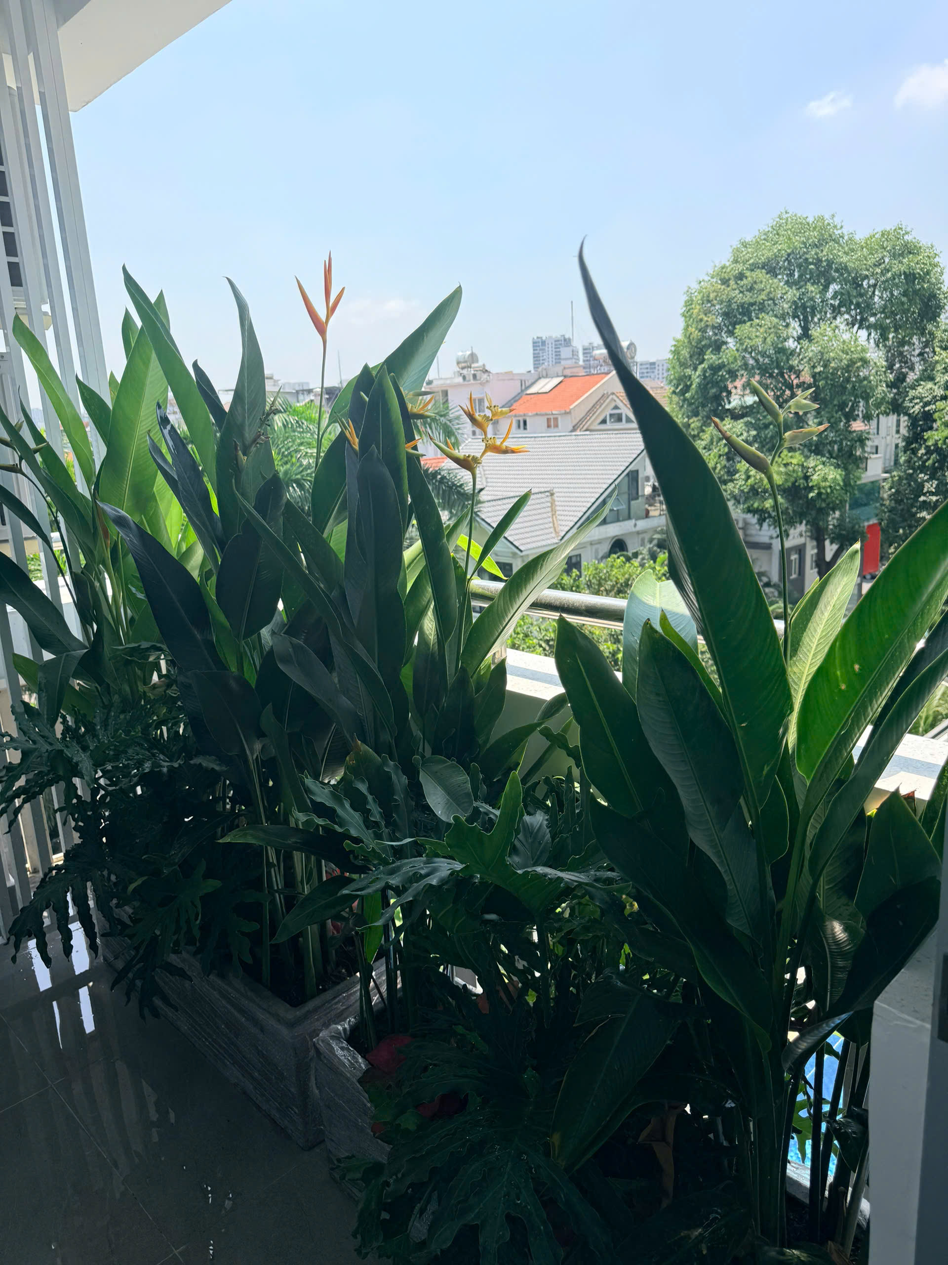 Cần bán căn hộ Mỹ Khánh 4A, phú mỹ hưng. Diện tích: 113m, 3 phòng ngủ, 2wc. Nhà mới thiết kế lại, nội thất cao cấp, sổ hồng. Gía bán nhanh 11.9 tỷ. LH : hotline Ngọc Thư xem nhà - 10416
